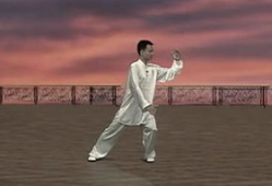 初学太极拳入门基本功视频教程